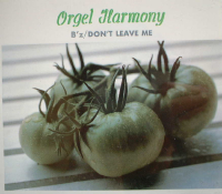 Orgel Harmony